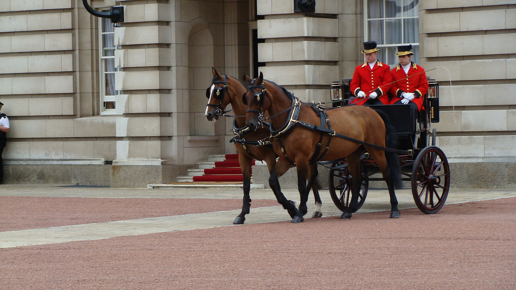 photo credit: Horse (Cleveland Bay) Drawn Brougham Carriage, Buckingham Palace, Westminster, London via photopin (license)